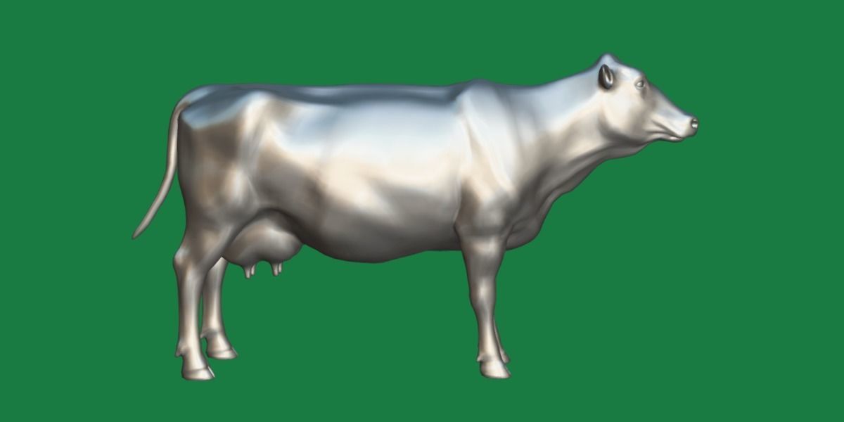 Red Angus Beef Cattle 3D model_5