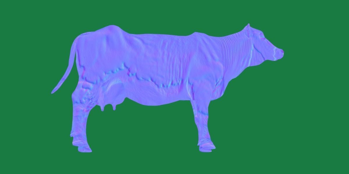 Red Angus Beef Cattle 3D model_21
