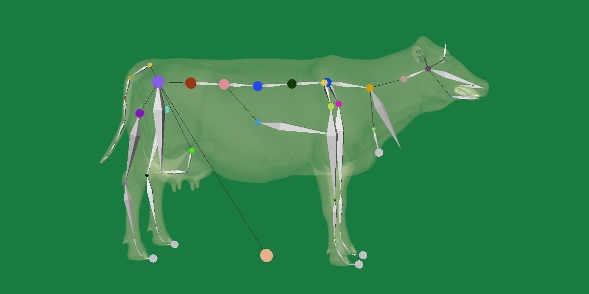 Red Angus Beef Cattle 3D model_16