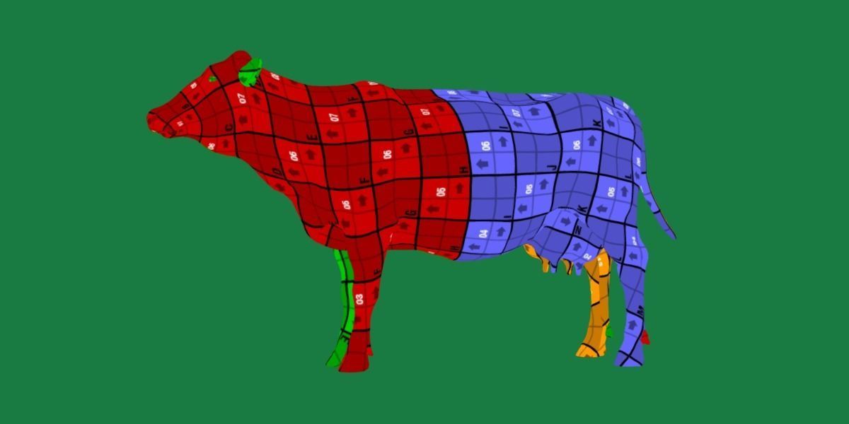 Red Angus Beef Cattle 3D model_11