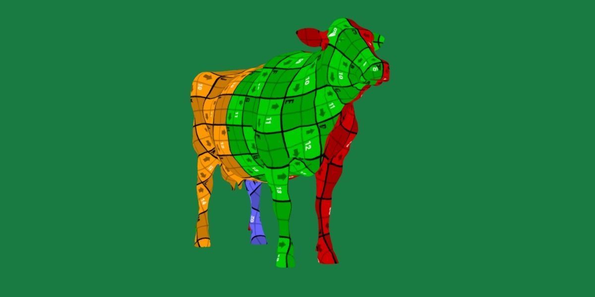 Red Angus Beef Cattle 3D model_12