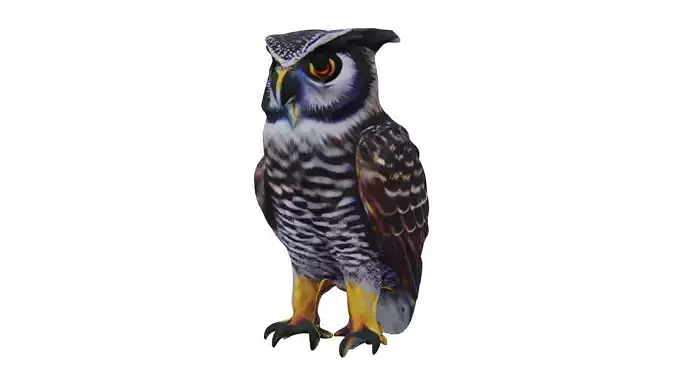 Verreauxs Eagle Ow Low-poly 3D model