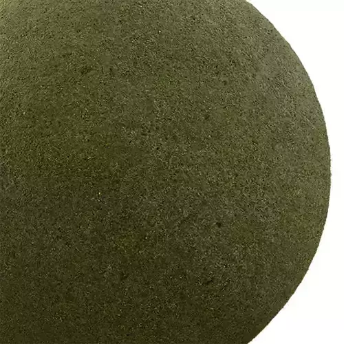 Grass Seamless Texture 2K - EXR 5 - JPG 5 Texture