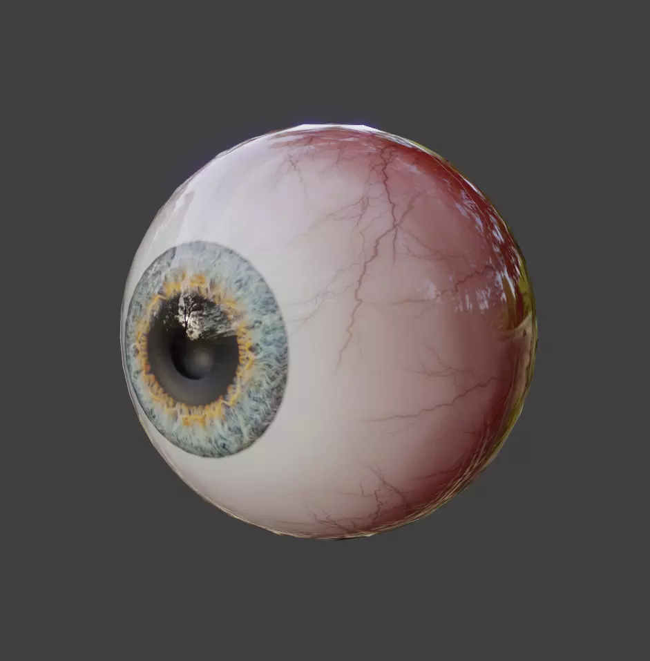 Eye for Character  3D model_0