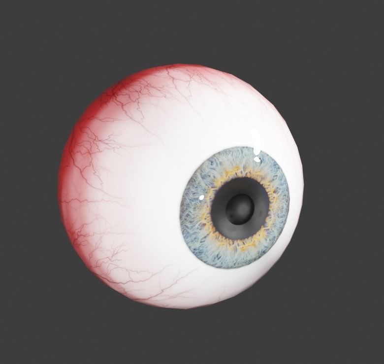 Eye for Character  3D model_3