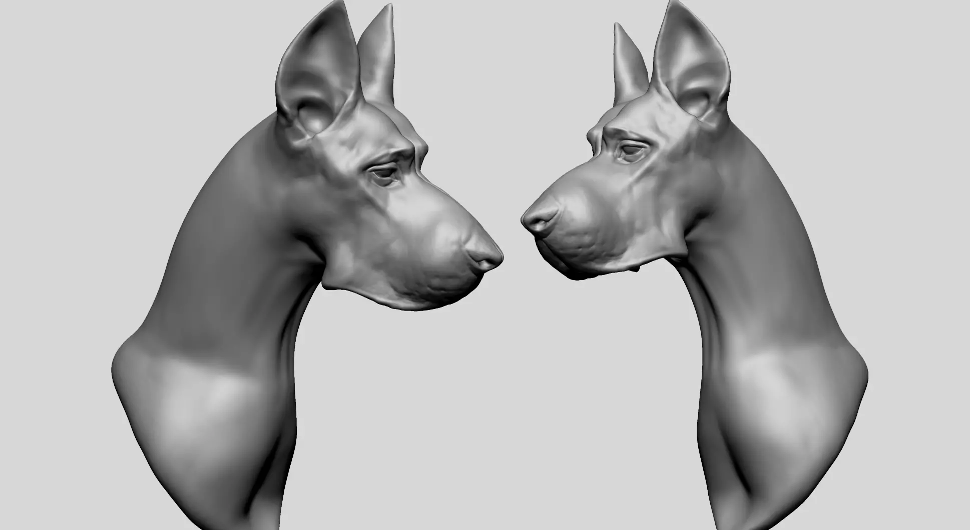 Dog Bust B 3D model_0