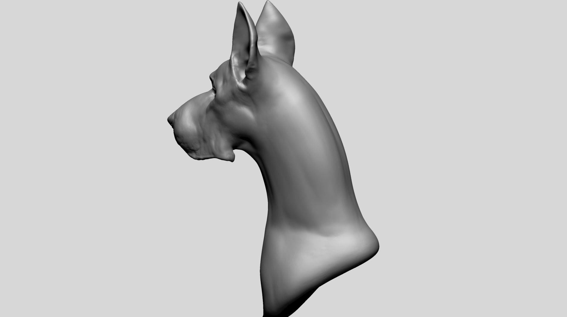 Dog Bust B 3D model_8