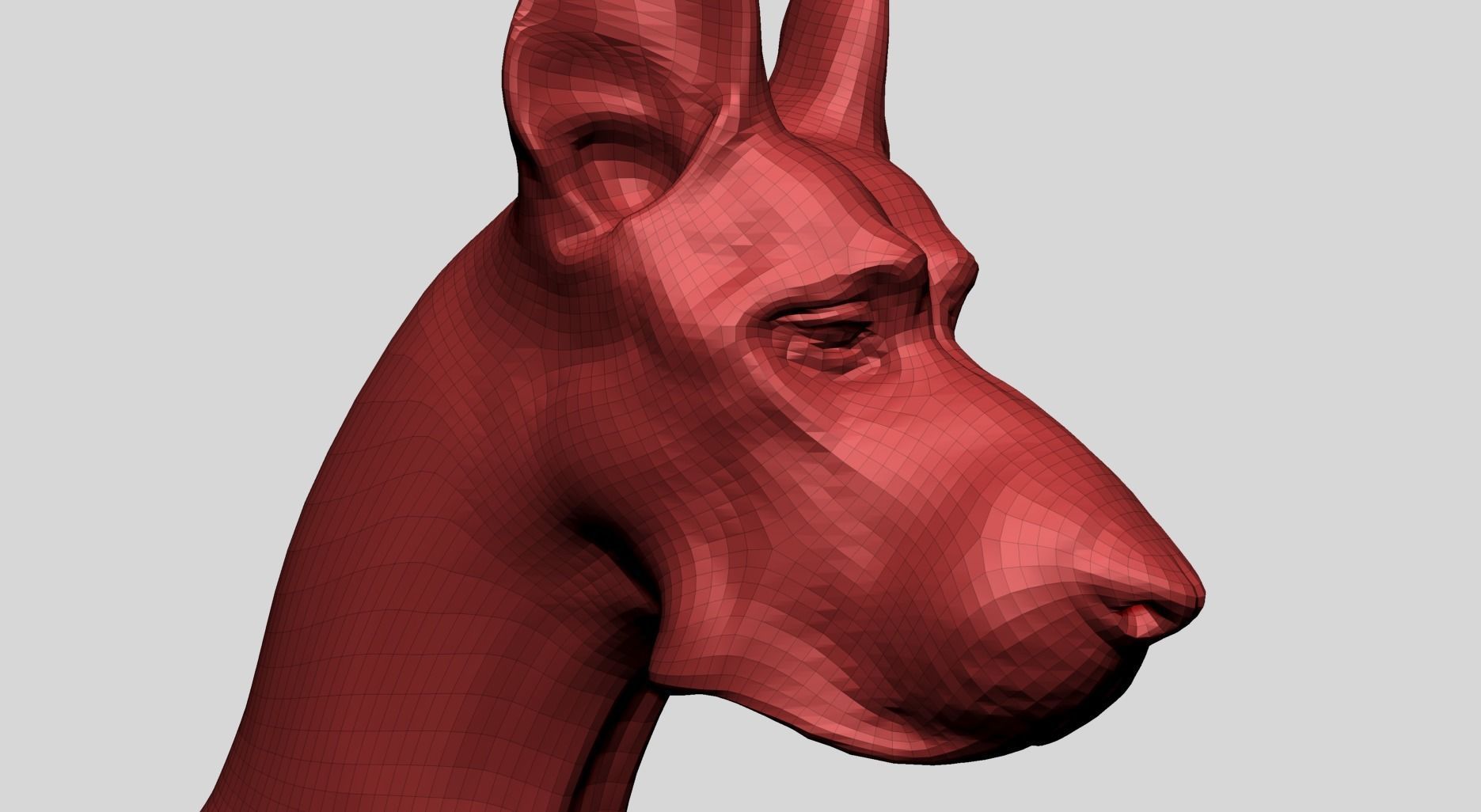 Dog Bust B 3D model_12