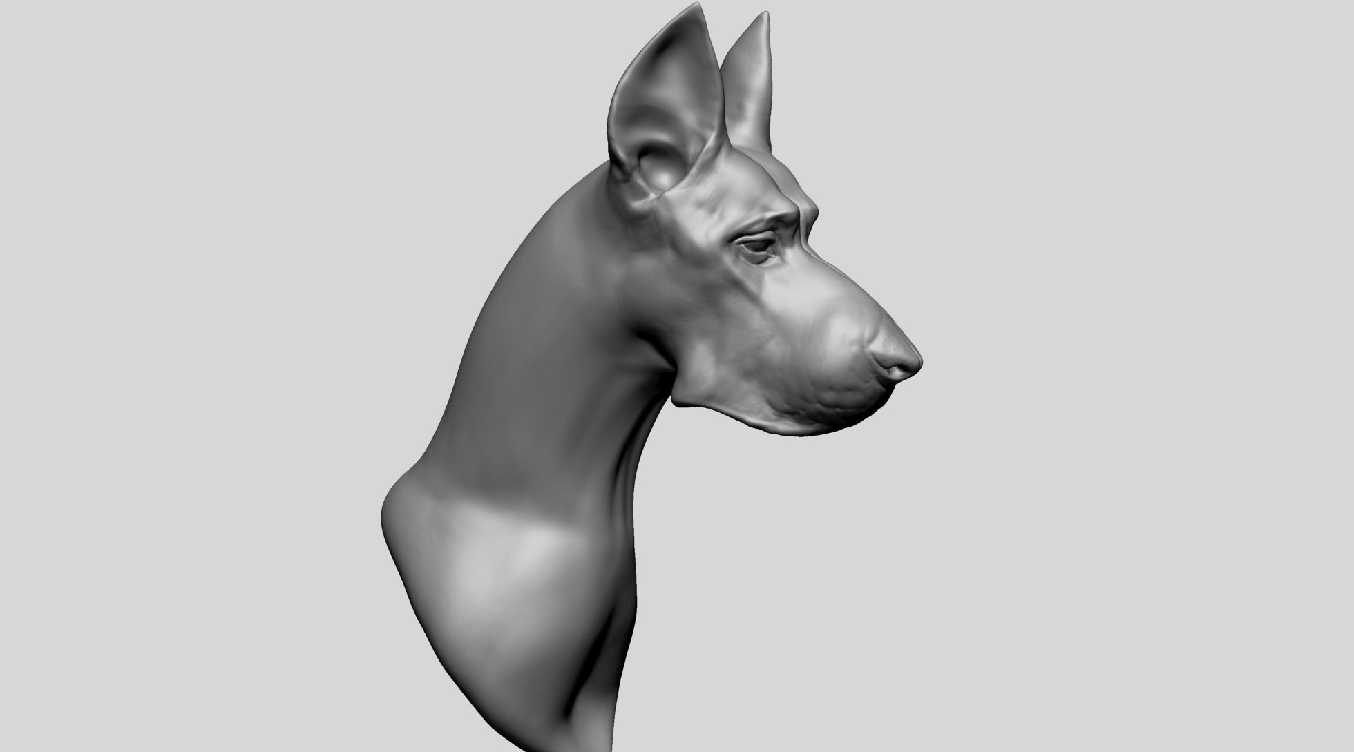 Dog Bust B 3D model_1