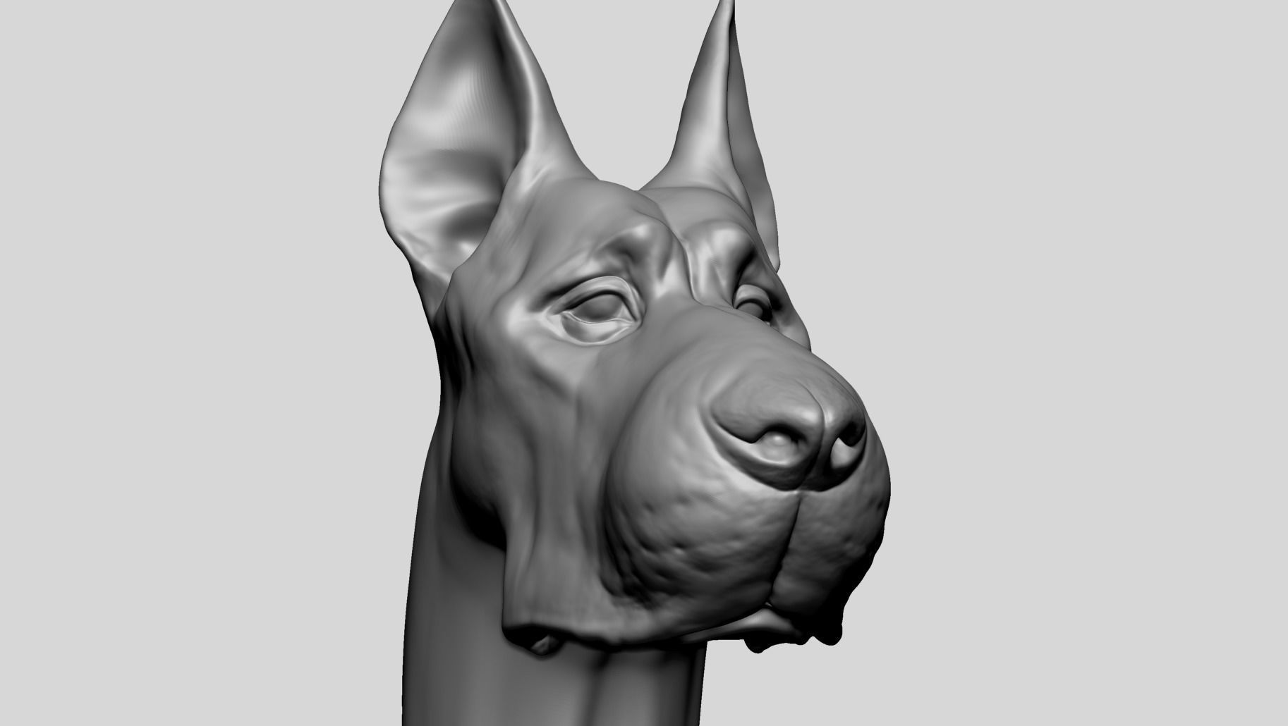 Dog Bust B 3D model_5