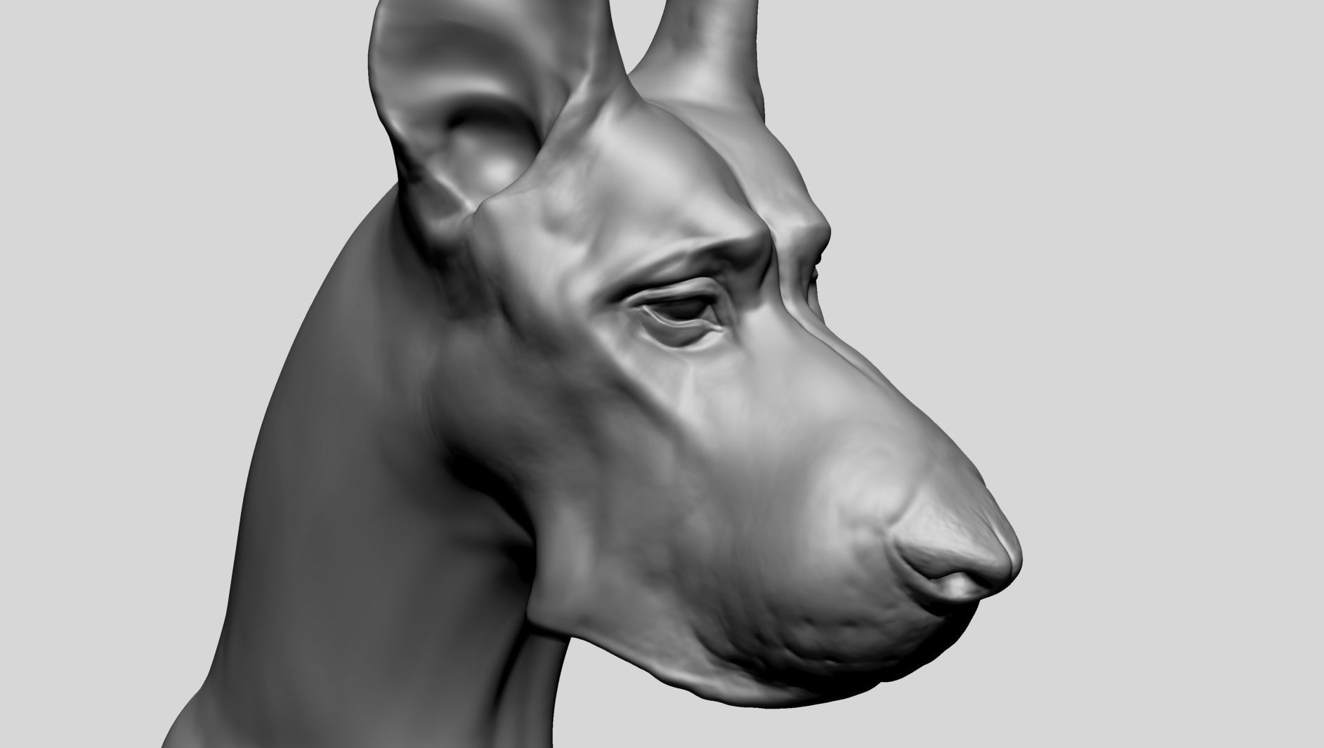 Dog Bust B 3D model_4