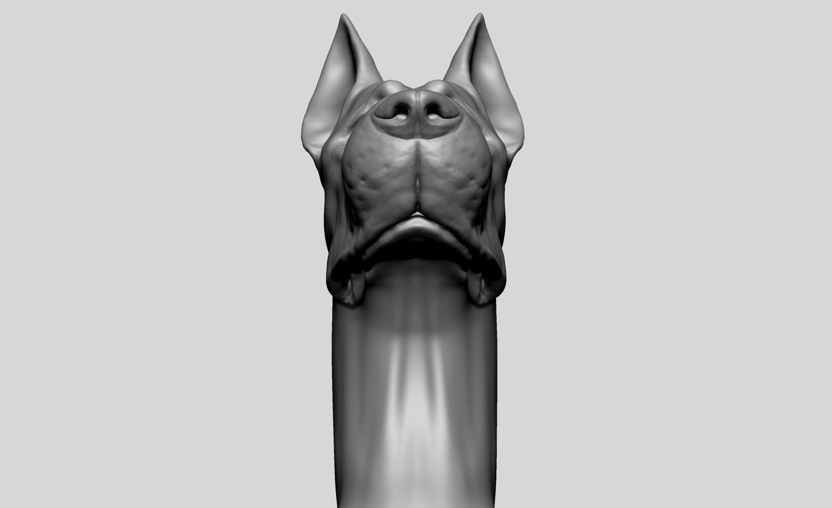Dog Bust B 3D model_10