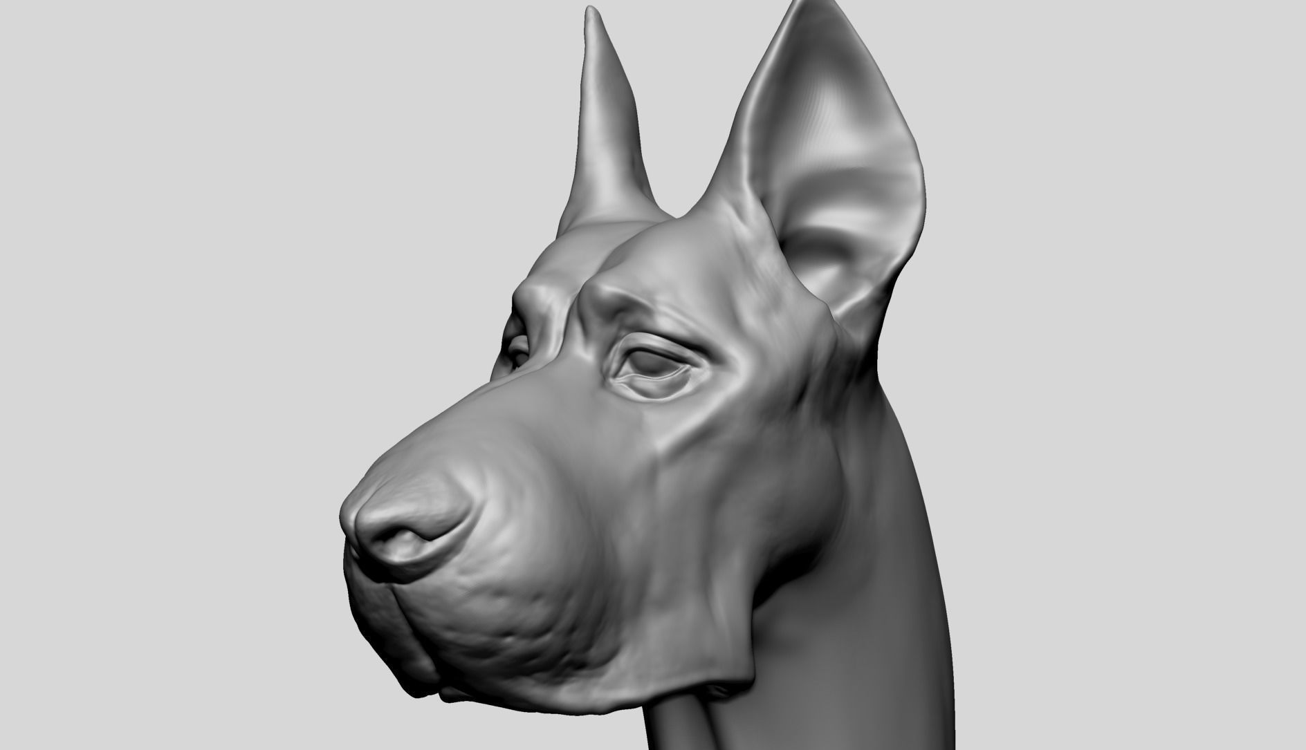 Dog Bust B 3D model_9