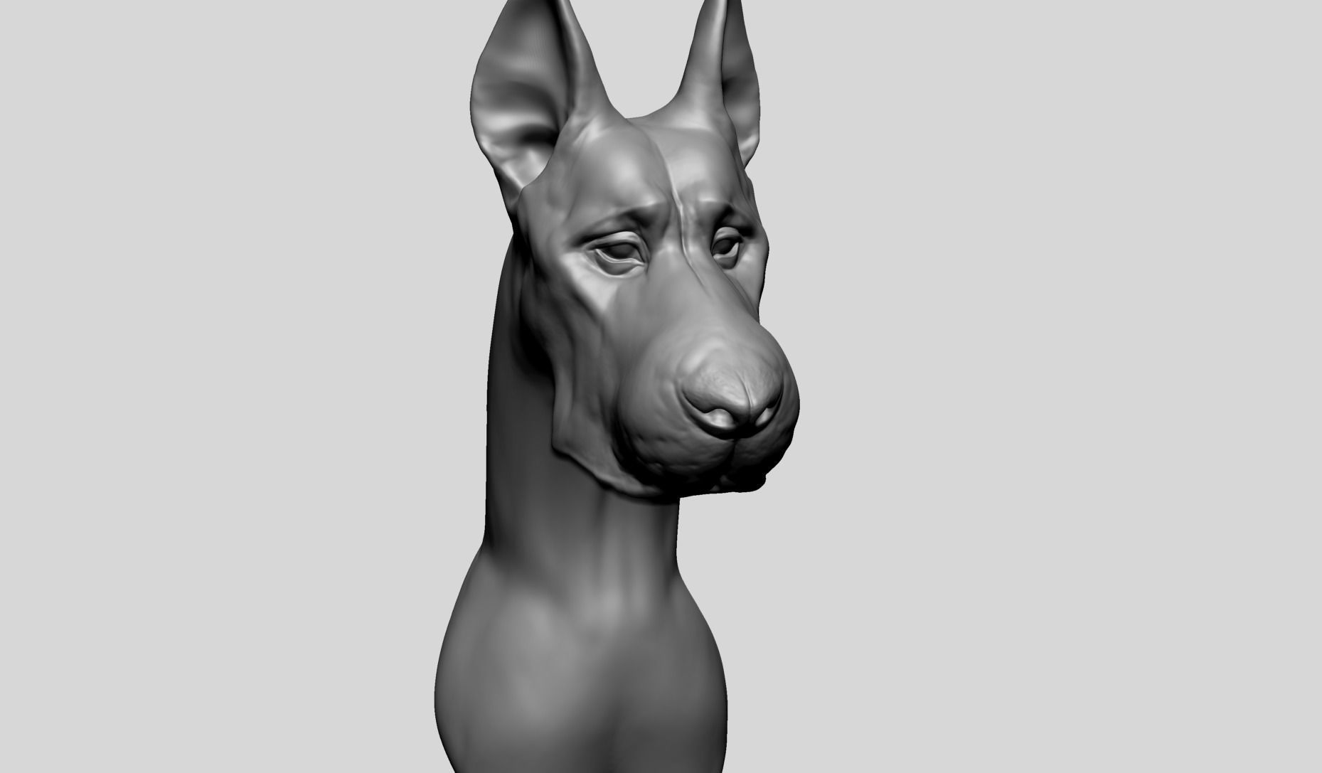 Dog Bust B 3D model_3