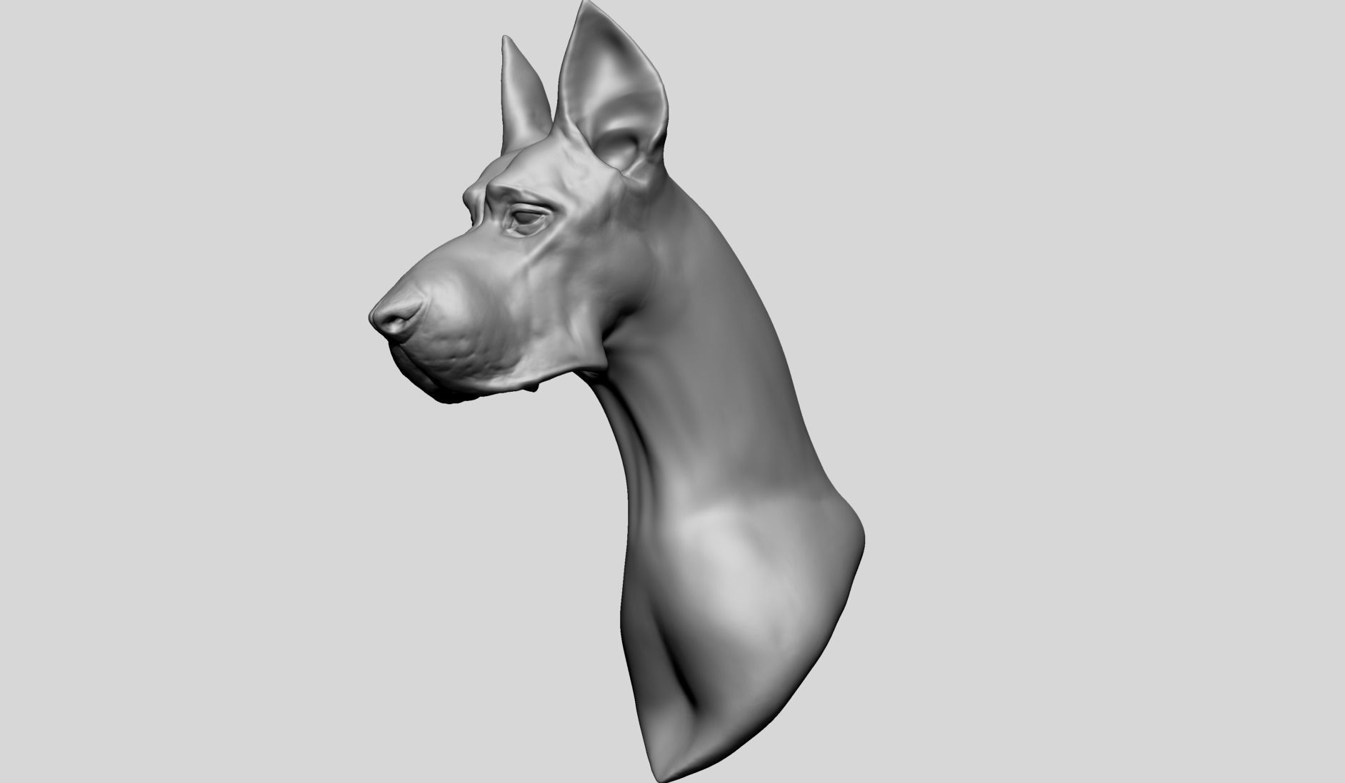 Dog Bust B 3D model_2