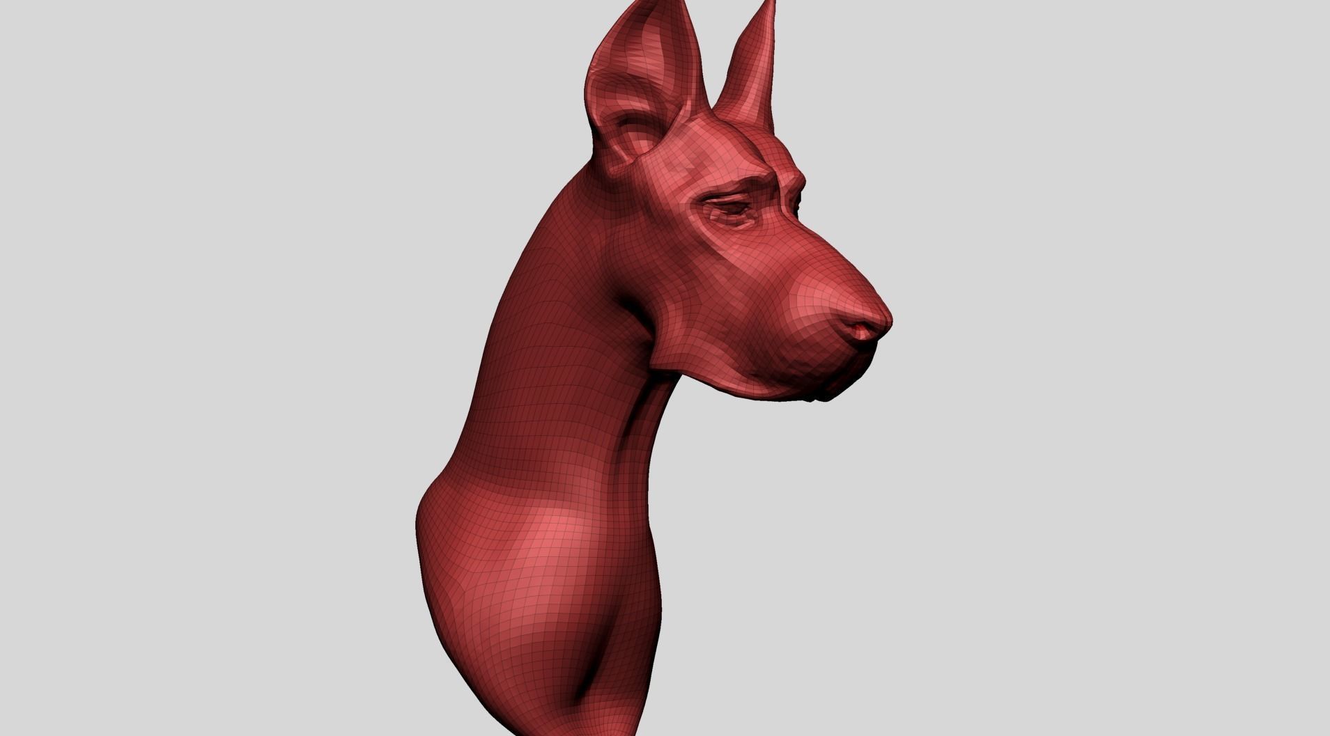 Dog Bust B 3D model_11