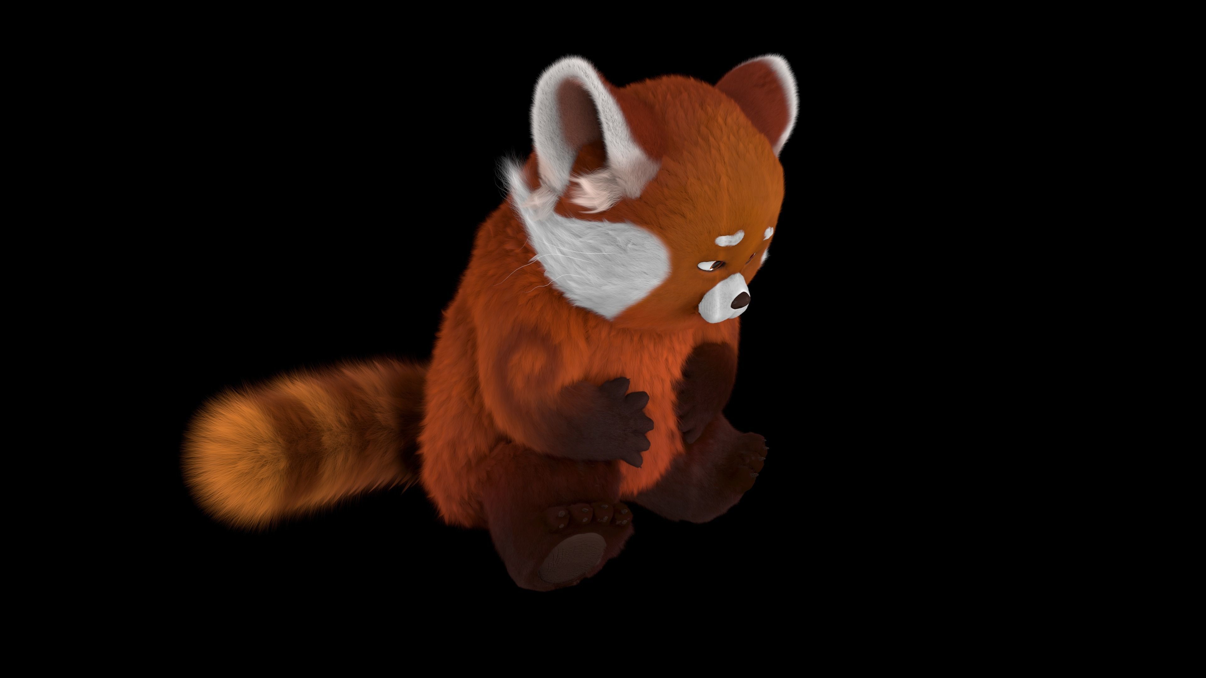 Meilin Lee - Turning Red 3D model_1