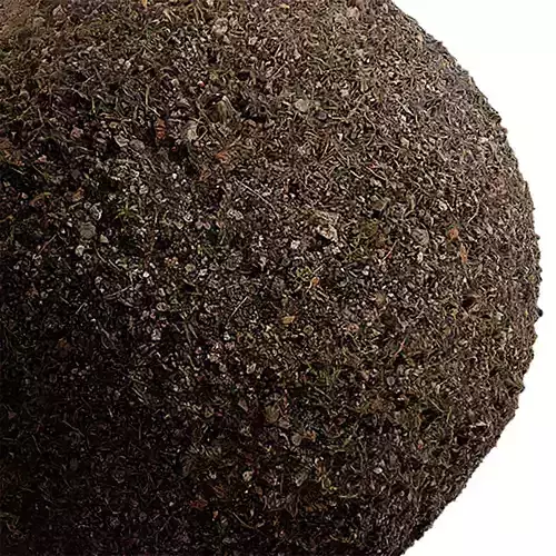 Grass Seamless Texture 2K - EXR 5 - JPG 5 Texture