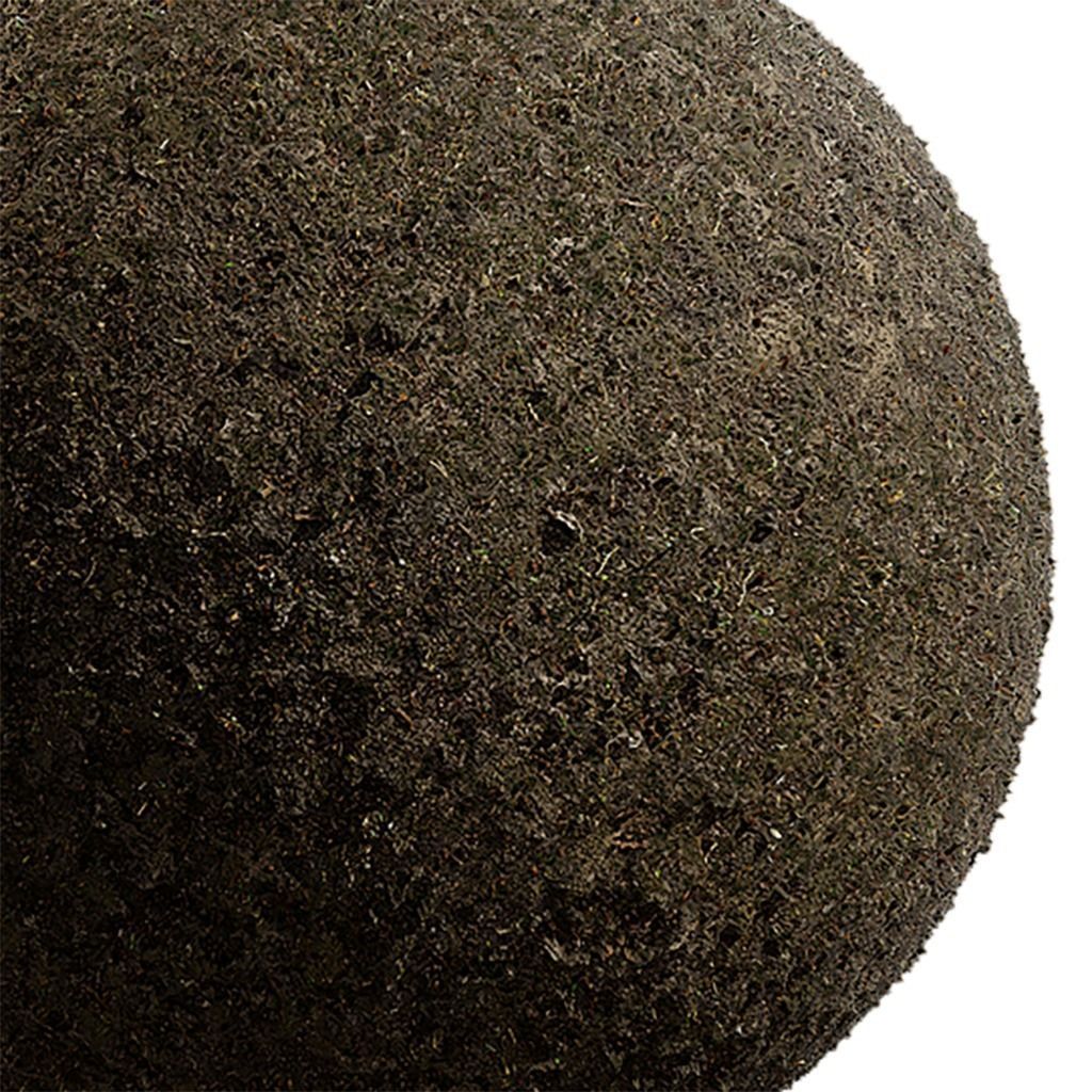 Grass Seamless Texture 2K - EXR 5 - JPG 5 Texture Texture_4