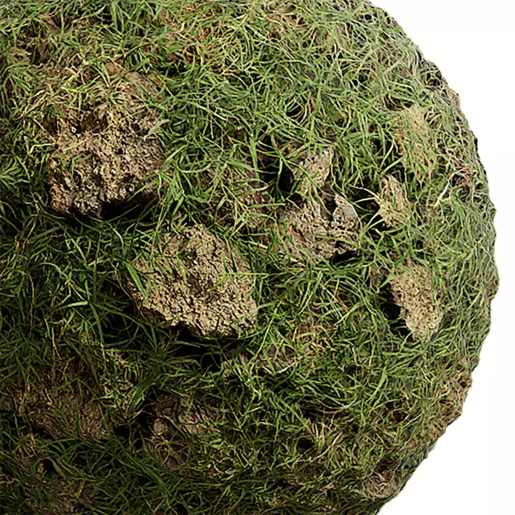 Grass Seamless Texture 2K - EXR 5 - JPG 5 Texture Texture_0