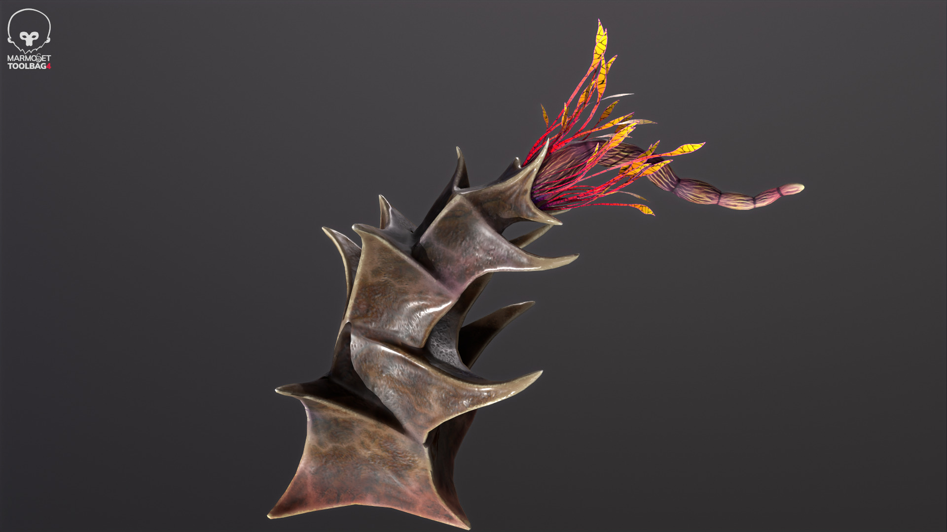 Alien flora plant 40 Low-poly 3D model_3