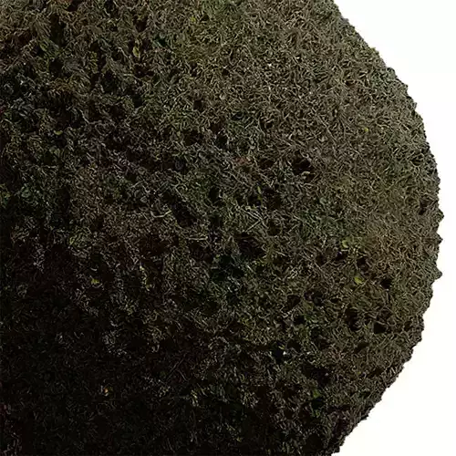 Grass Seamless Texture 2K - EXR 5 - JPG 5 Texture