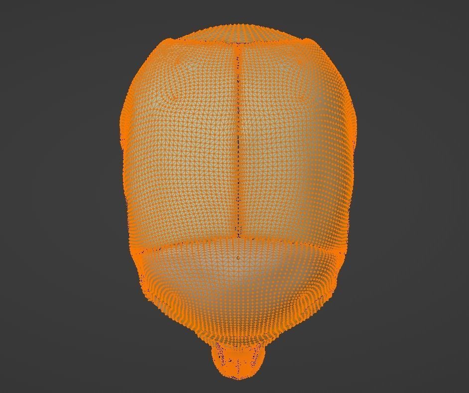 3D Model of Skull Anatomy - best version 3D model_16