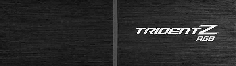 TIDENT Z RAM Free 3D model_5