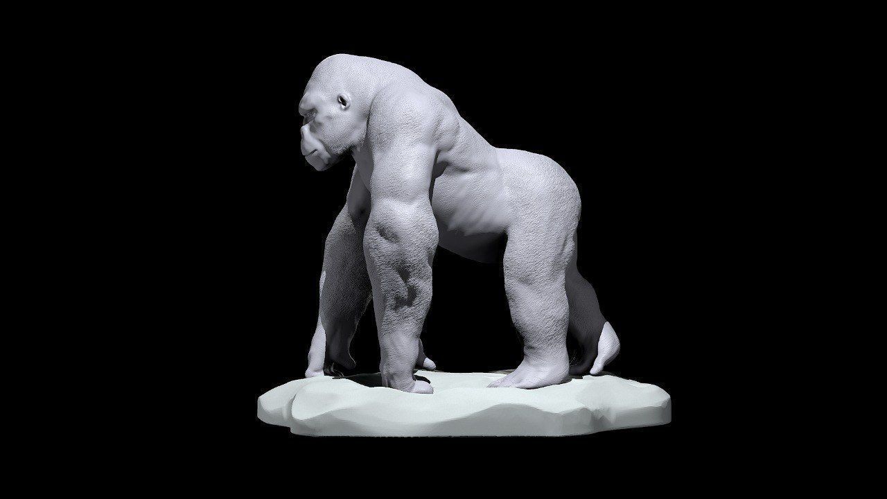 Silverback Gorilla 3D print model_2