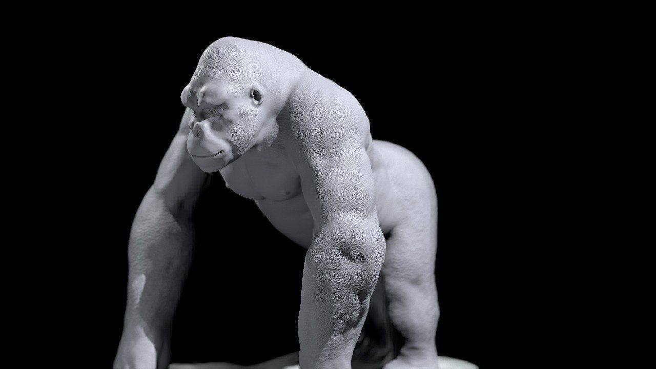 Silverback Gorilla 3D print model_7