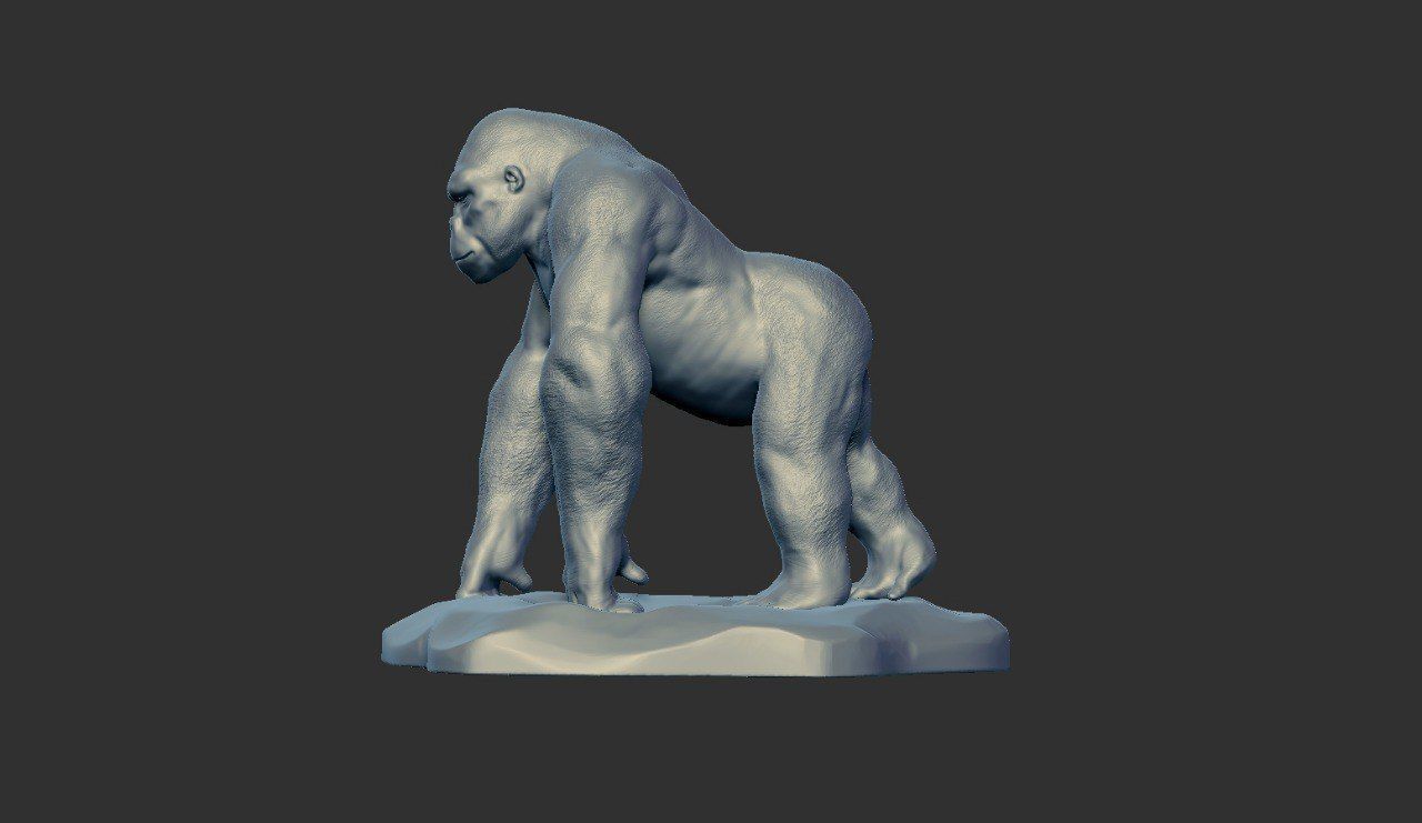 Silverback Gorilla 3D print model_14
