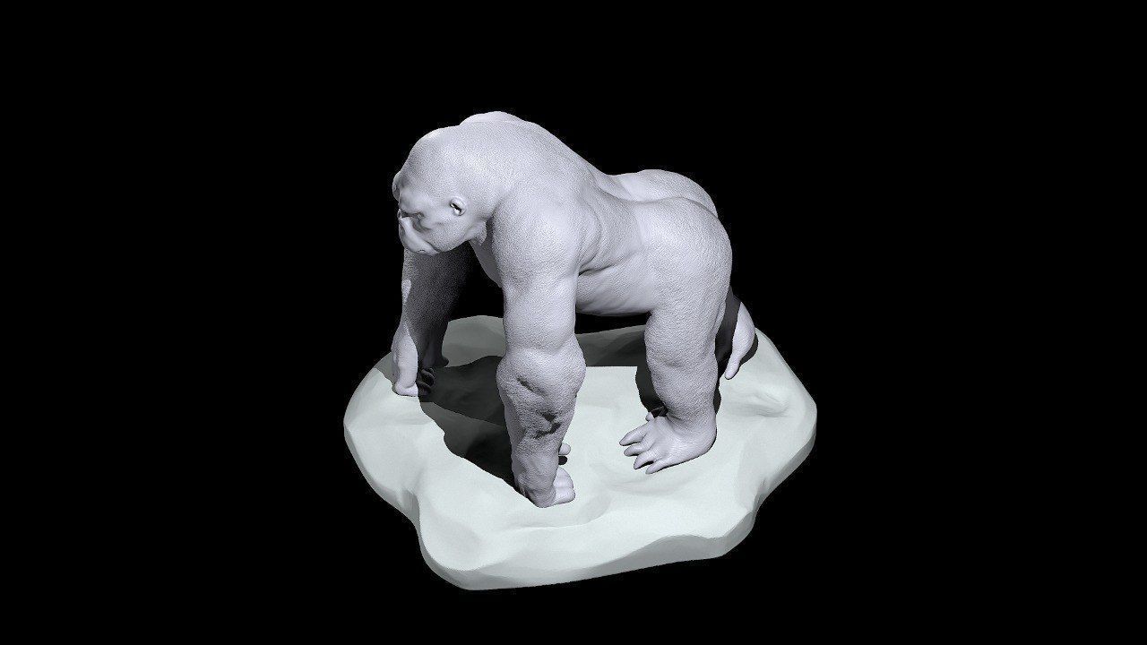 Silverback Gorilla 3D print model_6