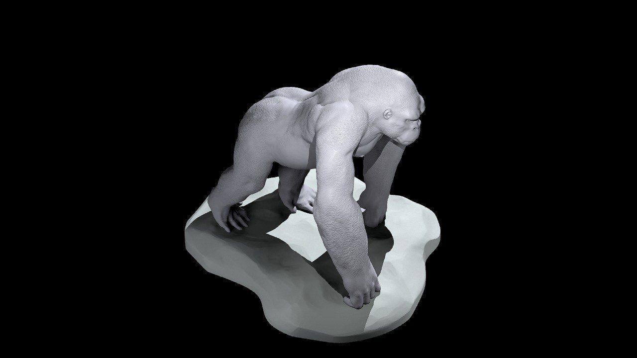 Silverback Gorilla 3D print model_5