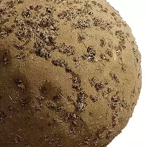 Grass Seamless Texture 2K - EXR 6 - JPG 6 Texture