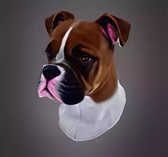 Boxer dog low poly bust