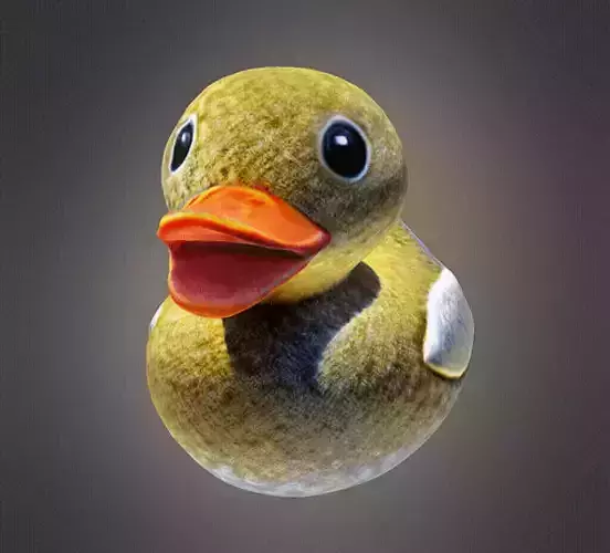 Rubber duck