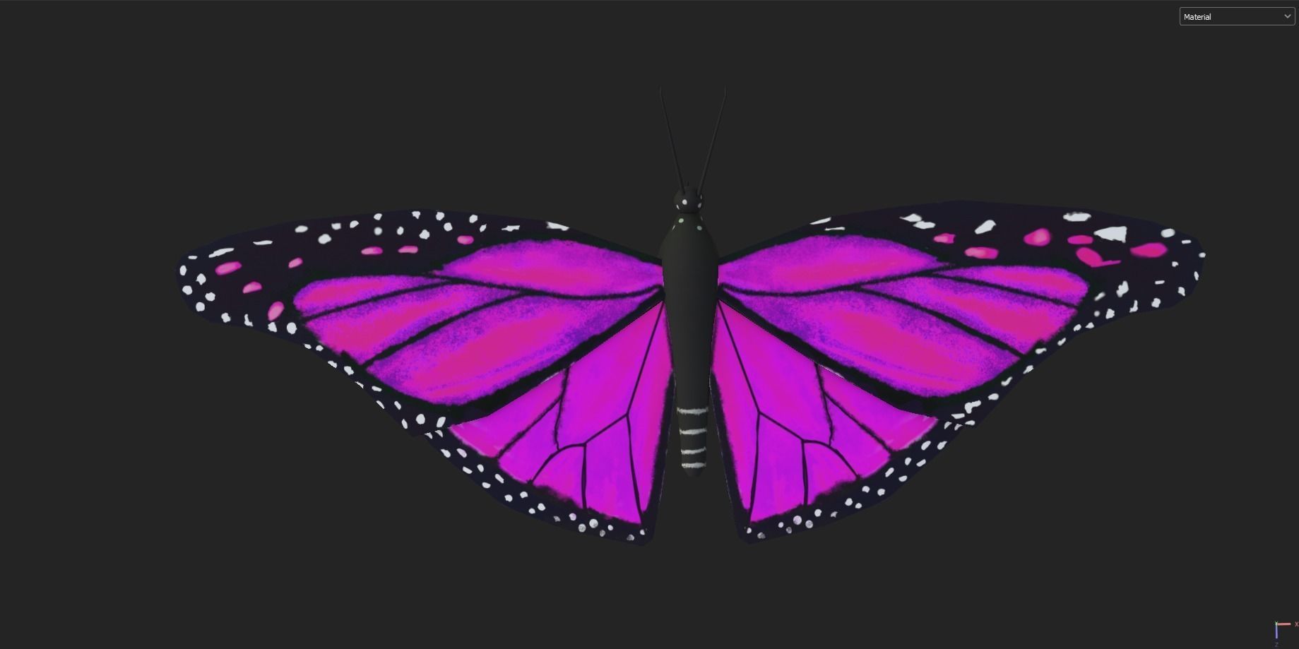 Low poly Butterfly Low-poly 3D model_4