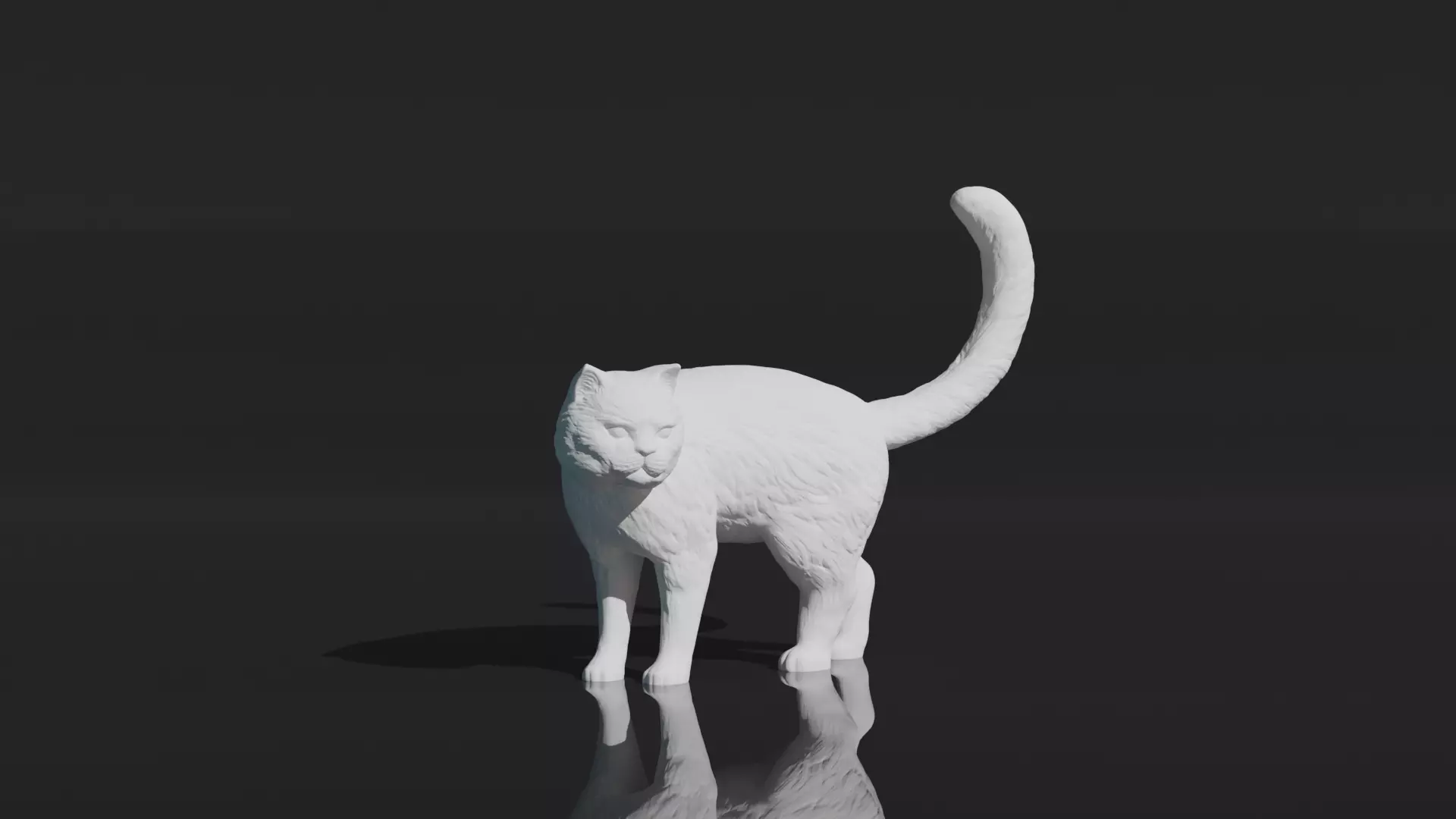 cat 3D Print Model 3D print model