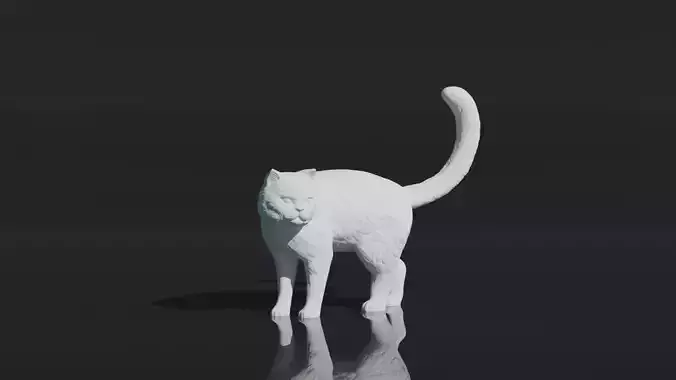 cat 3D Print Model