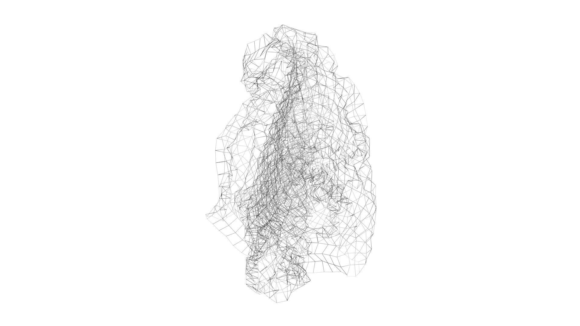 Paper With Crumpling Animation 3D model_25