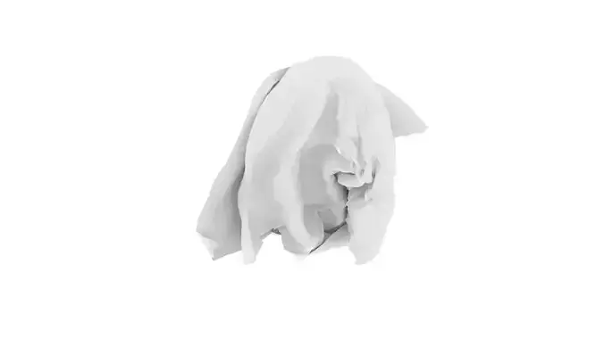 Paper With Crumpling Animation 3D model