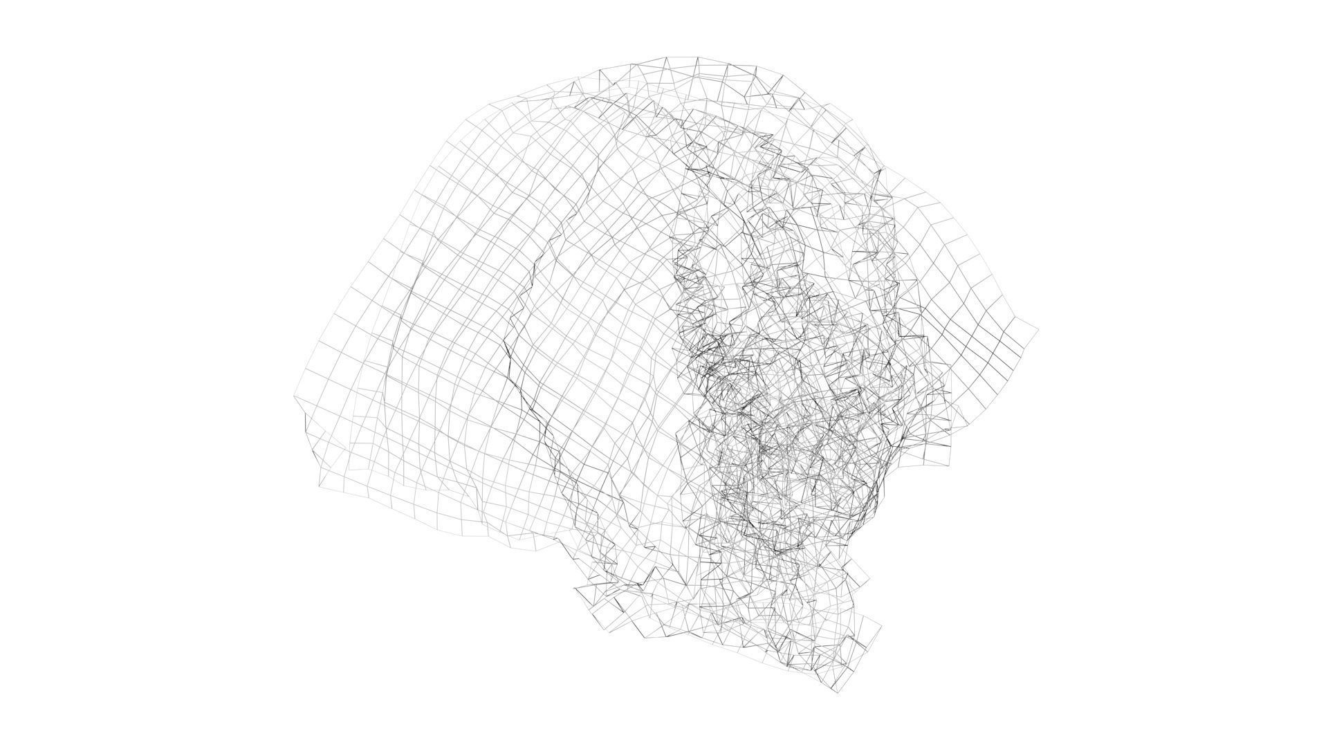 Paper With Crumpling Animation 3D model_24