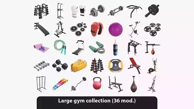 Large gym collection 3D model