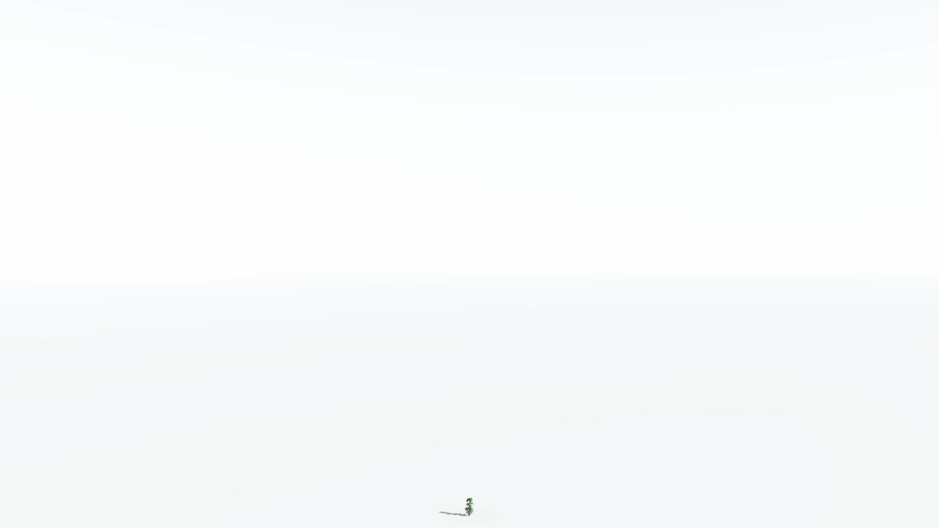 EVERYPlant Kauri 3 --12 Models-- 3D model_20