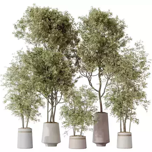 Indoor plant set 45 3D model