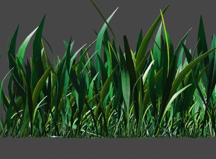 Grass pack Free low-poly 3D model_12