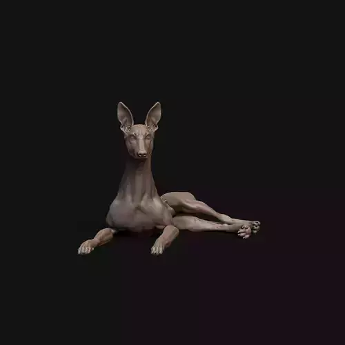Pharaoh Hound dog laying down - pre supported 3D print model