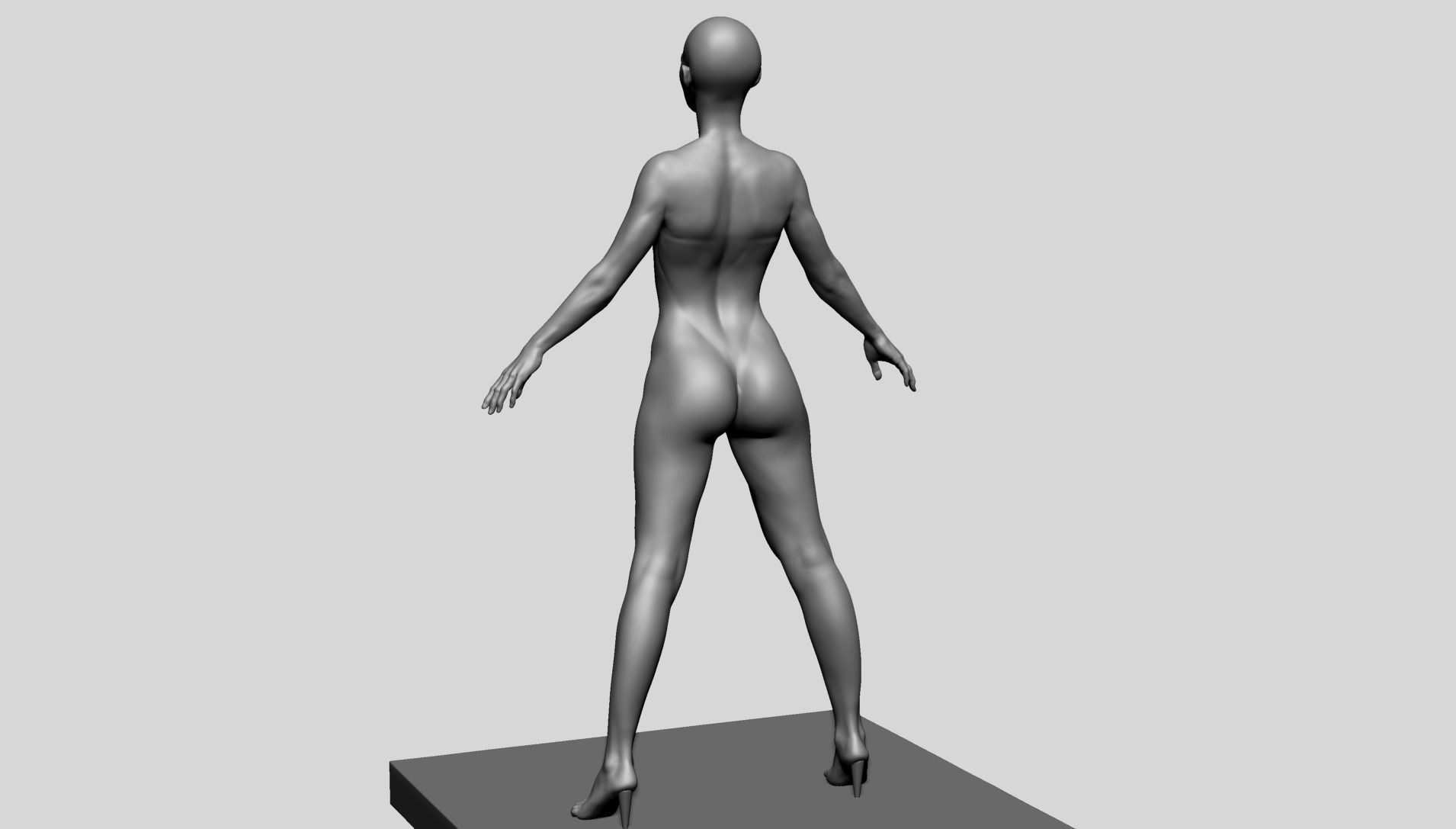 Base Female Anatomy C 3D model_4