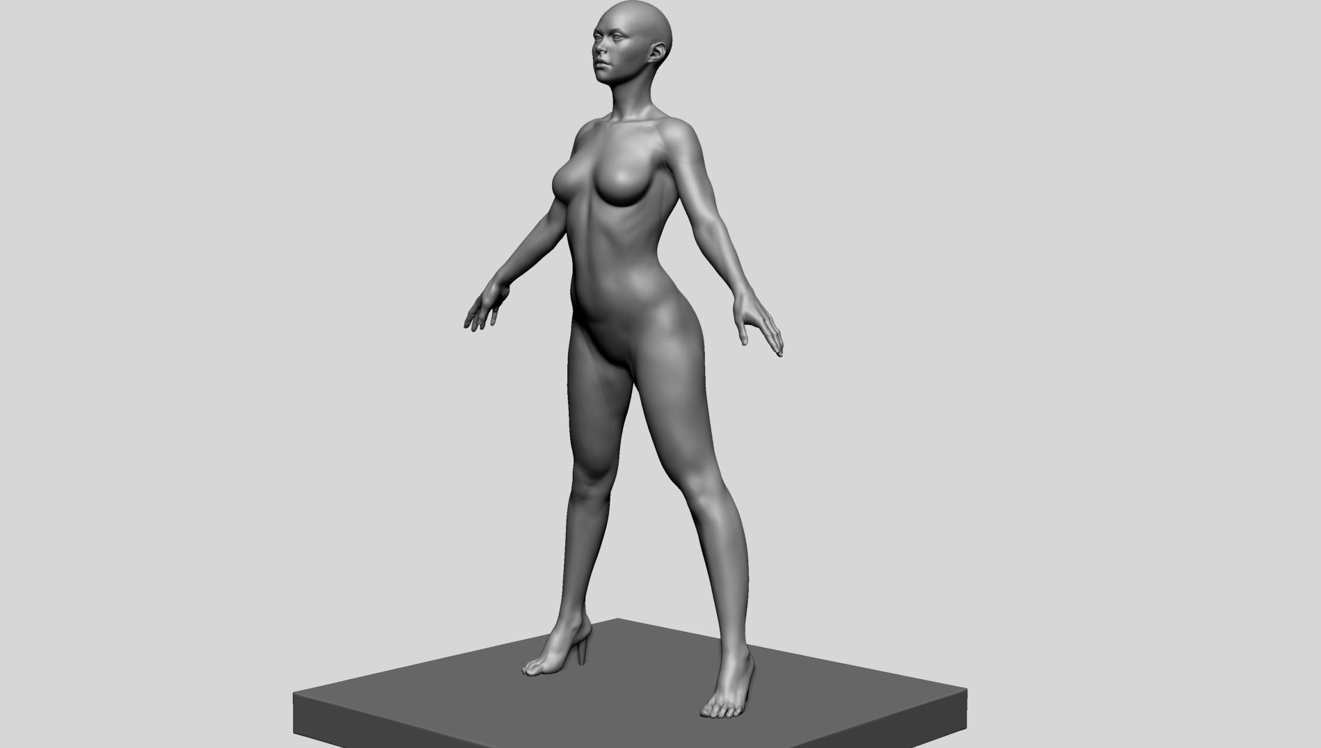 Base Female Anatomy C 3D model_9