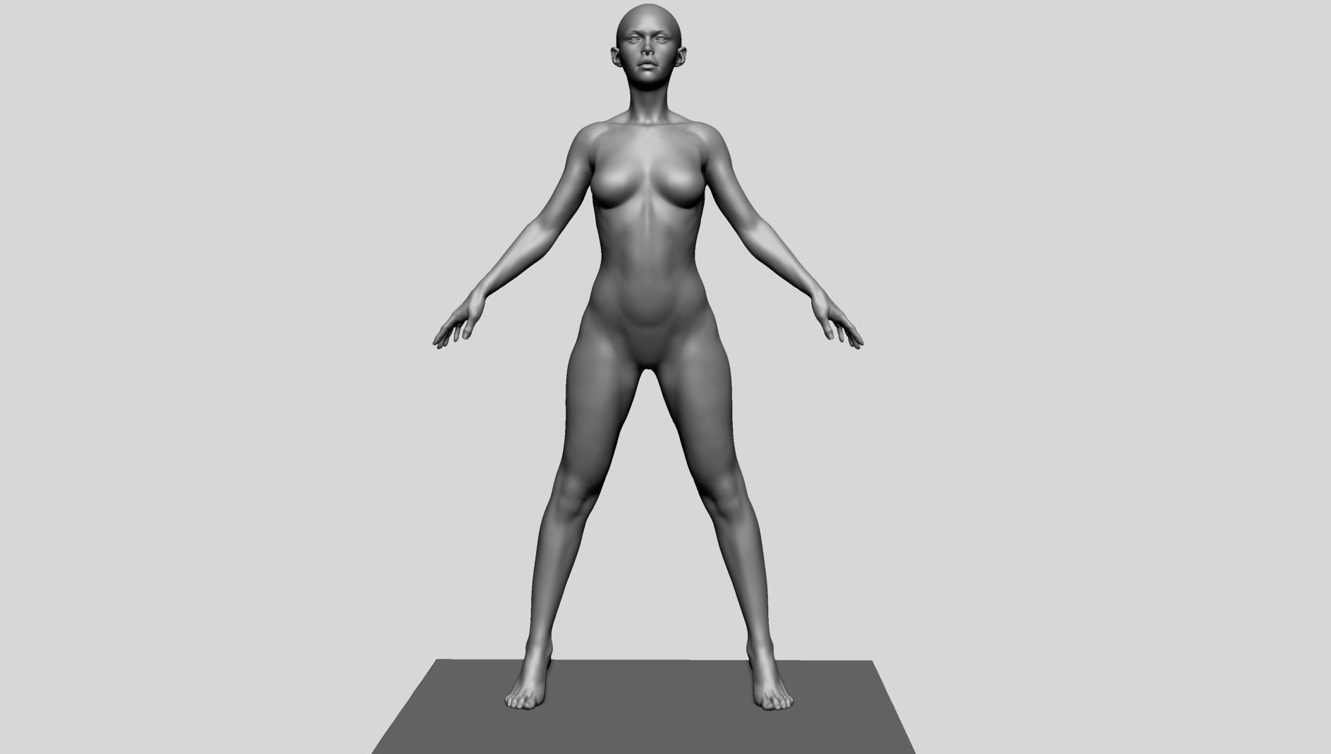 Base Female Anatomy C 3D model_6